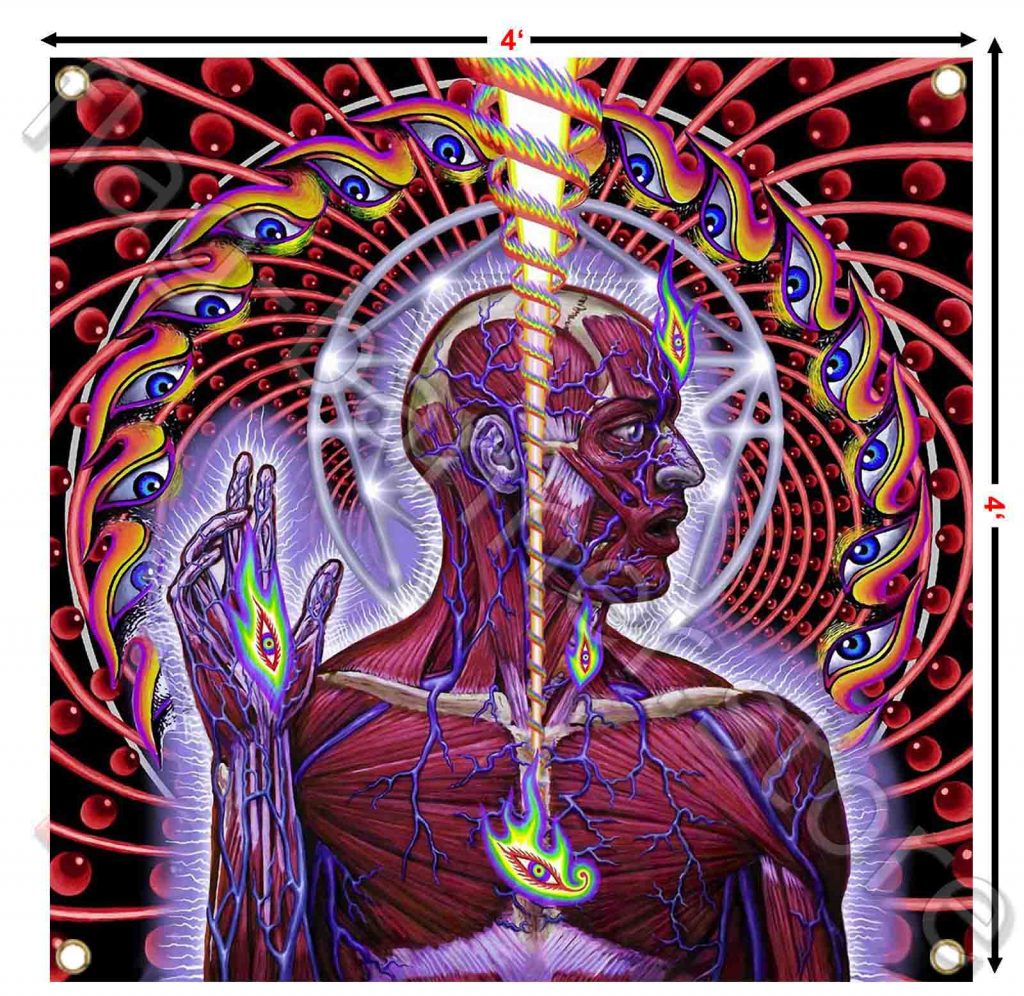 TOOL Metal Rock Band Dissection Lateralus 4x4ft Flag Banner Art Poster